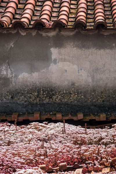 roofs / Azores / II