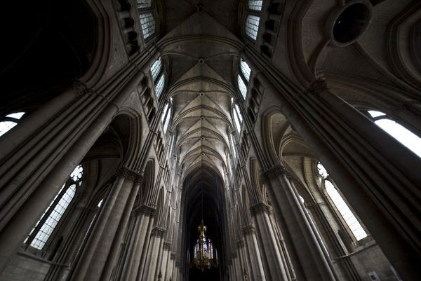 katedrála Notre Dame / Remeš, Francie / 2015 / IX