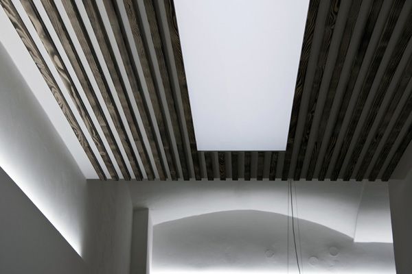 ilex design / interior renovation of Forestry Academy / Trutnov / XXV