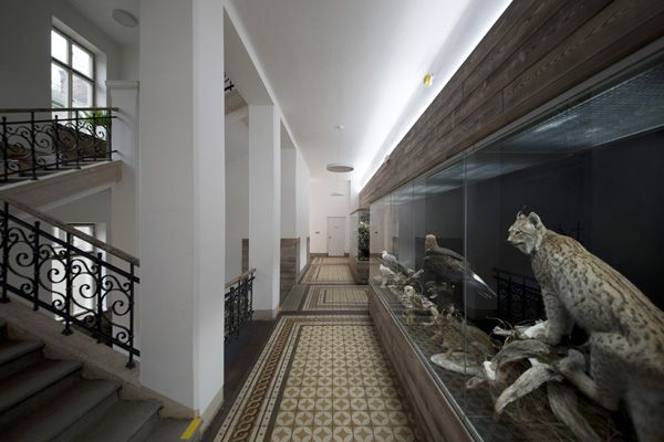 ilex design / interior renovation of Forestry Academy / Trutnov / XVII