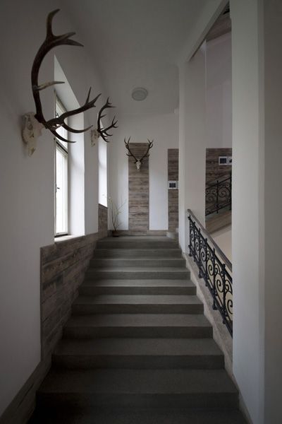 ilex design / interior renovation of Forestry Academy / Trutnov / VIII