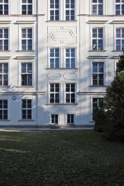 PRIVILEG - reconstruction of monuments and historical buildings / facade - Jaselská street no. 9 - inner courtyard, Brno / 2016 / VI