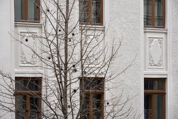 PRIVILEG - reconstruction of monuments and historical buildings / Facade - Výstavní street no. 11, Brno / 2016 / VIII