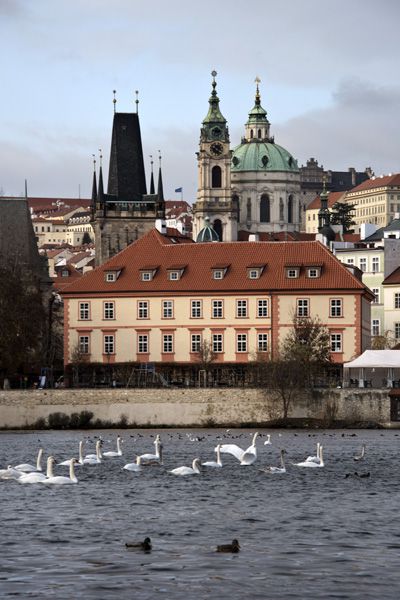 PRIVILEG - reconstruction of monuments and historical buildings / Facade / Na Kampě street no. 11, Prague / 2016 / III