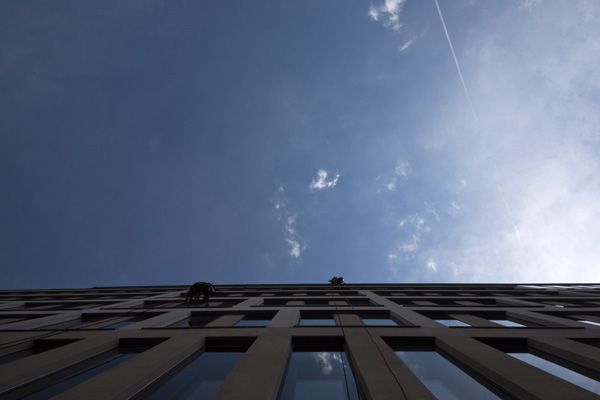 Hofmannservis / Trinity Office Center / window cleaning by climbing / XVIII