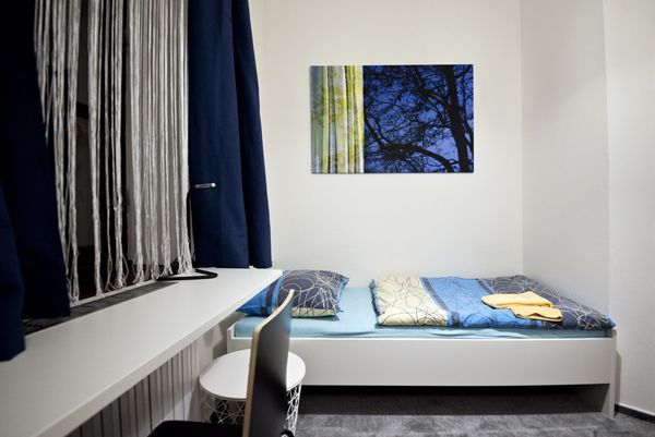 guest house Zámeček Lednice / Trees / I