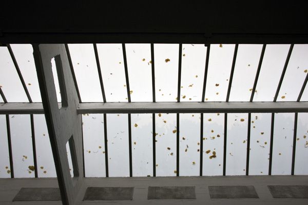 15. bienále architektury / Benátky, Itálie / 2016 / Jardini / LXI