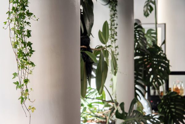 own projects / restaurant Akvárna - overgrown and finally with the neon / Brno / 2021 / XIII