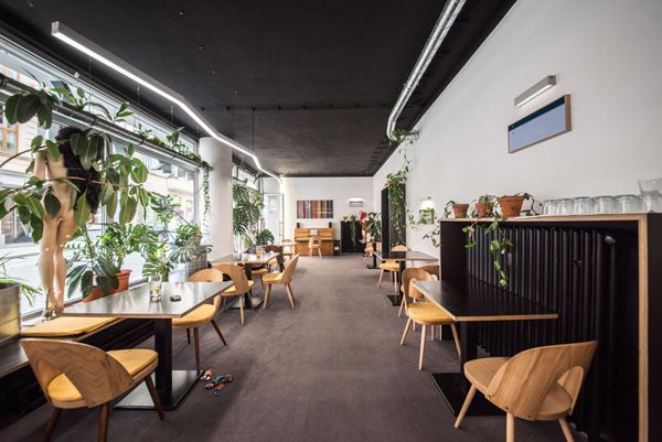 vlastní projekty / restaurace Akvárna - zarostlá a konečně neonová / Brno / 2021 / VII