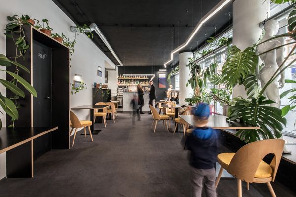 vlastní projekty / restaurace Akvárna - zarostlá a konečně neonová / Brno / 2021 / V