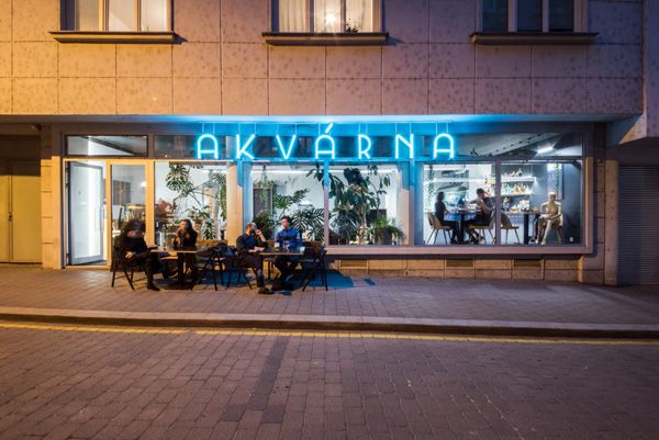 vlastní projekty / restaurace Akvárna - zarostlá a konečně neonová / Brno / 2021 / III