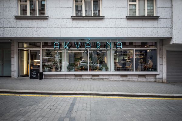 vlastní projekty / restaurace Akvárna - zarostlá a konečně neonová / Brno / 2021 / I