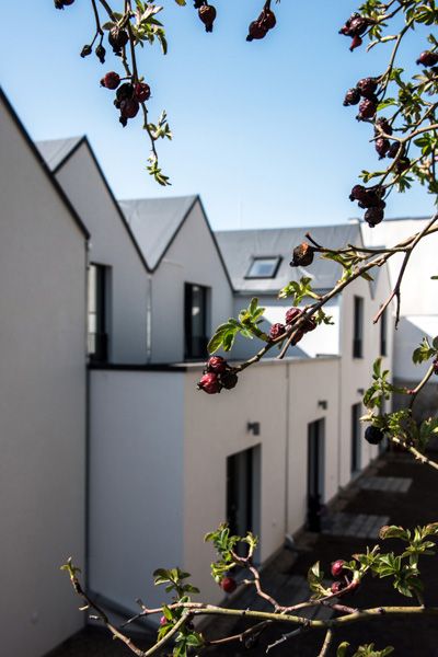 Čtyřstěn / architektonické studio / sociální bydlení / Bílovice nad Svitavou / 2020 / V