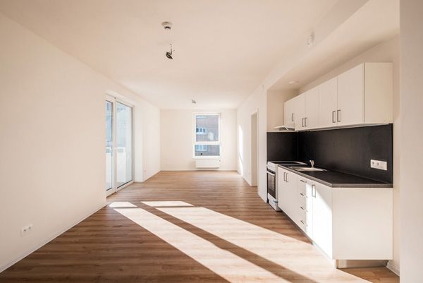 Rudiš-Rudiš architektonická kancelář / dům se sociálními byty a knihovnou / Brno / 2021 / XLIX