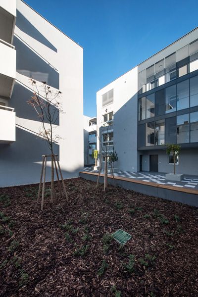 Rudiš-Rudiš architectual studio / municipal social housing and branch of Jiří Mahen library, Brno / 2021 / XXIX