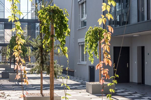 Rudiš-Rudiš architektonická kancelář / dům se sociálními byty a knihovnou / Brno / 2021 / XXVII