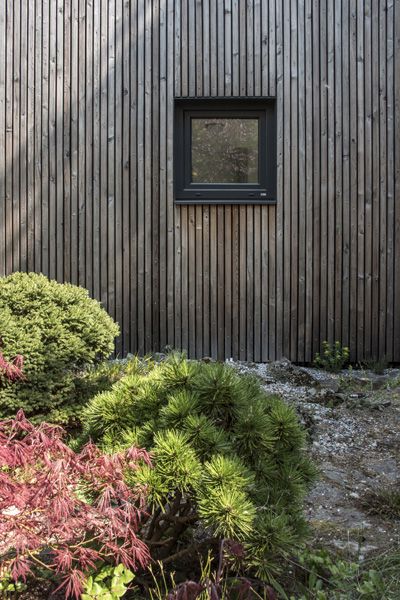 Čtyřstěn / architektonické studio / chatka pro zahrádkáře, Brno / 2022 / IX