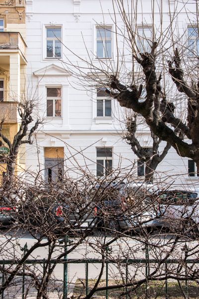 PRIVILEG - rekonstrukce památek a historických budov / Fasáda / Jiráskova 32, Brno / 2021 / V