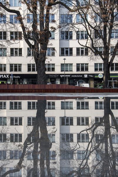 Consequence forma / rekonstrukce parku / fotodokumentace procesu realizace / Moravské nám., Brno / 2022-23 / CXLI