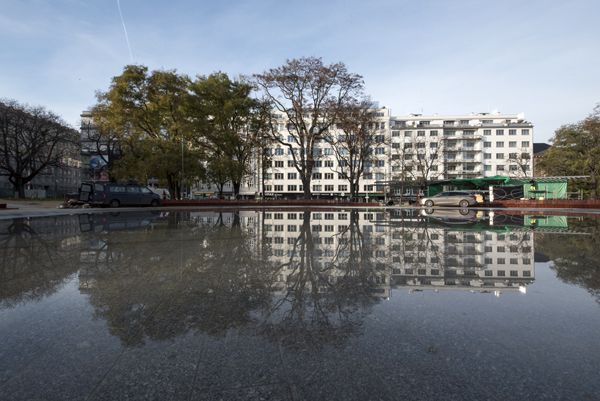 Consequence forma / rekonstrukce parku / fotodokumentace procesu realizace / Moravské nám., Brno / 2022-23 / CXXXIX