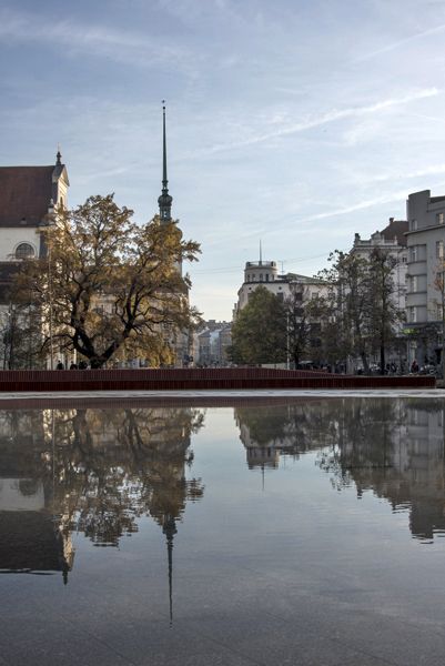 Consequence forma / rekonstrukce parku / fotodokumentace procesu realizace / Moravské nám., Brno / 2022-23 / CXXXVII