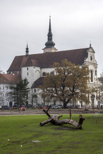Consequence forma / rekonstrukce parku / fotodokumentace procesu realizace / Moravské nám., Brno / 2022-23 / CIX