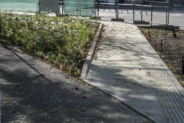 Consequence forma / rekonstrukce parku / fotodokumentace procesu realizace / Moravské nám., Brno / 2022-23 / LV