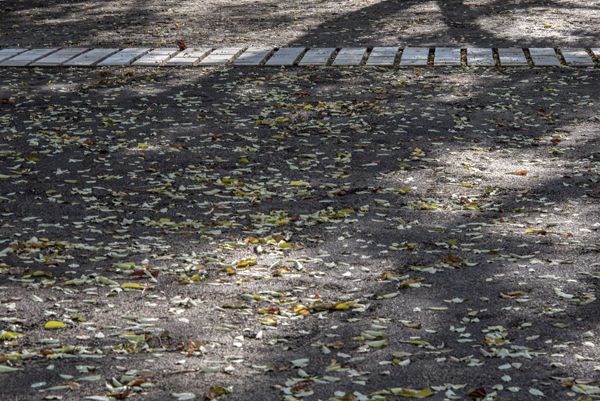Consequence forma / rekonstrukce parku / fotodokumentace procesu realizace / Moravské nám., Brno / 2022-23 / LIV