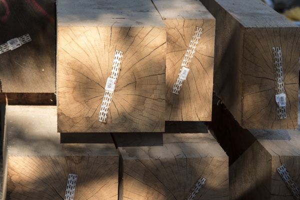 Consequence forma / rekonstrukce parku / fotodokumentace procesu realizace / Moravské nám., Brno / 2022-23 / XXI