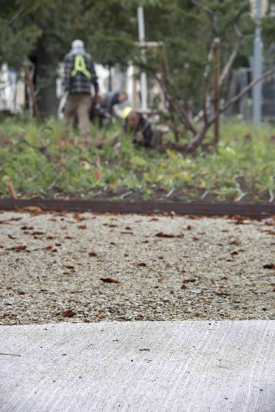 Consequence forma / reconstruction of the park / photographic documentation of the construction work process / Moravian square, Brno / 2022-23 / VIII