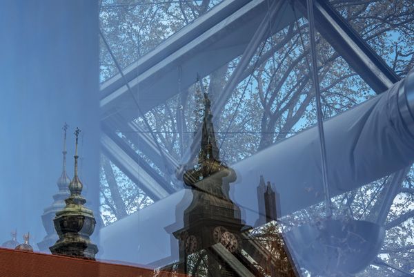 CHKAU / Mendel's greenhouse / Brno / 2023 / VIII