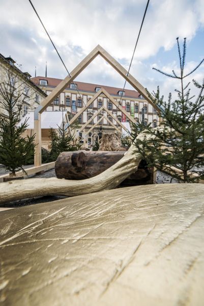 Veronika Plátková + Consequence forma architects / instalace "Zlaté dřevo" / Xmas Zelný trh, Brno / 2024 / XV