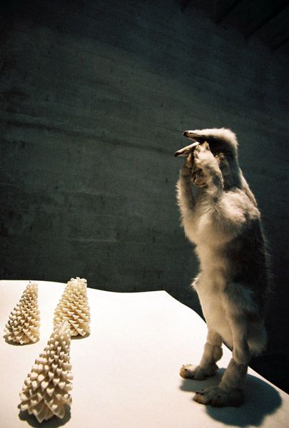 13th International Architecture Exhibition / Venice, Italy / 2012 / Jardini / pavilion of scandinavian countries / II