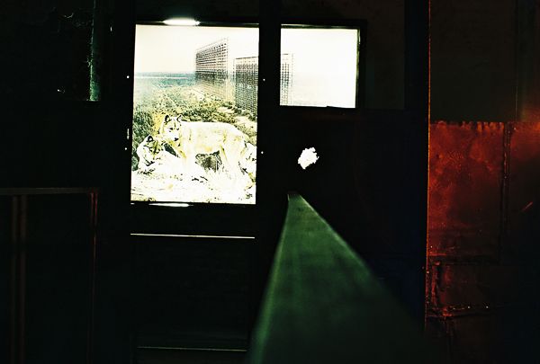 12th International Architecture Exhibition / Venice, Italy / 2010 / Arsenale