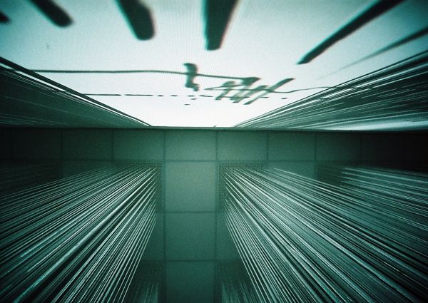 12th International Architecture Exhibition / Venice, Italy / 2010 / Jardini