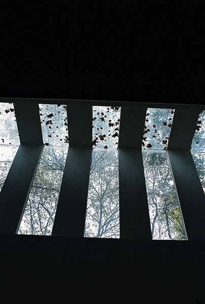 11th International Architecture Exhibition / Venice, Italy / 2008 / Jardini / pavilion of Venezula / III