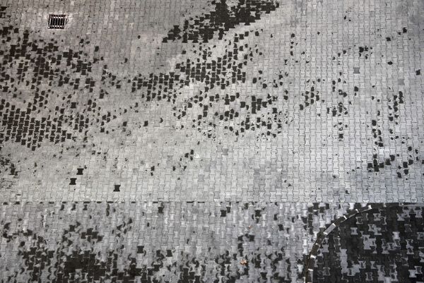 untitled / X