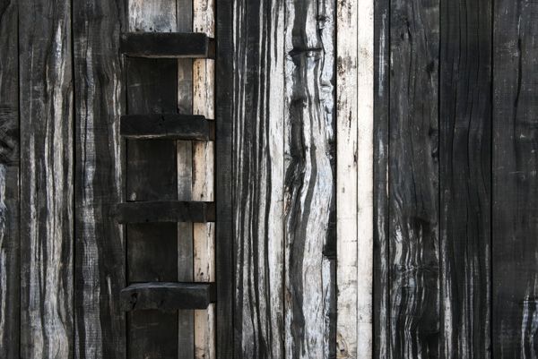 plank / I