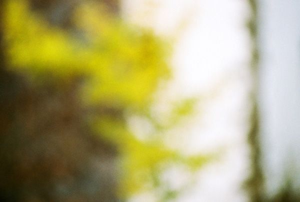 autumn / III
