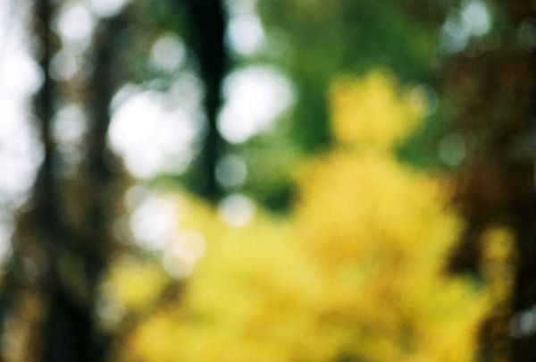 autumn / II