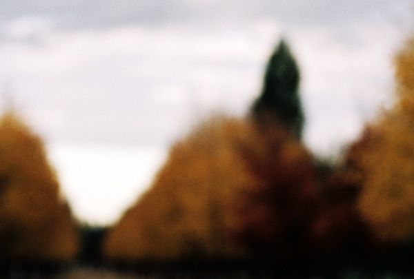 autumn / I