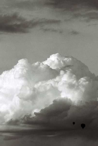 flying blots on the sky / I