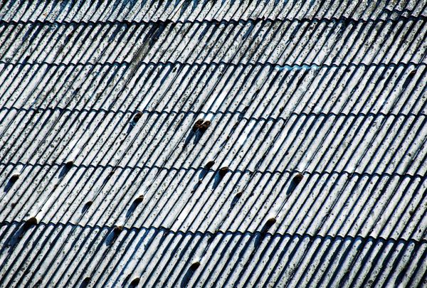 roofs / Nida / I