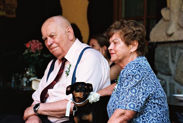 wedding / Michalíkovi / IV