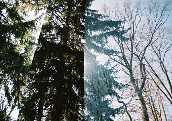 LIBEREC / VIII