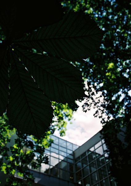 FRANKFURT AM MAIN / GERMANY / XIV