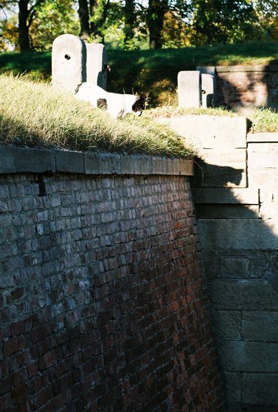 JOSEFOV / CZECH REPUBLIC / IV