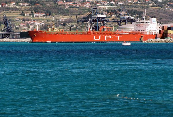 KOPER / SLOVENIA / V
