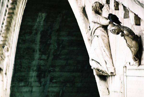 VENICE / ITALY / VIII