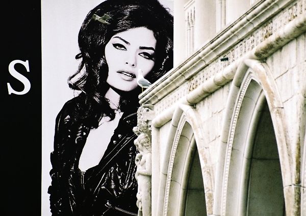 VENICE / ITALY / XXVIII